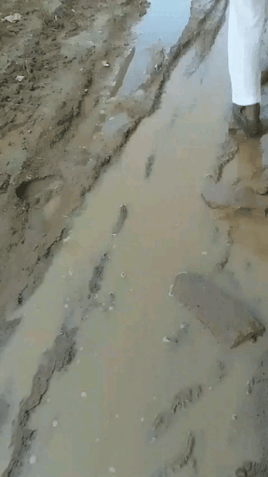 शाहाबाद: ग्राम पंचायत दांता में वार्ड नंबर 13 में पक्की सड़क और पीने की पानी की सुविधा के लिए  ग्रामीणों की मांग