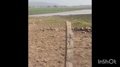 त्योंदा: ग्राम पंचायत भिलाएं में दबंगों ने सरकारी तालाब पर तार फेंसिंग कर कब्जा किया, ग्रामीणों ने अधिकारियों से की शिकायत