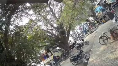 धनौरा: गजरौला इंदिरा चौक पर दुकानदार ने पेड़ गिराया, घटना सीसीटीवी कैमरे में कैद, कई लोग दबे
