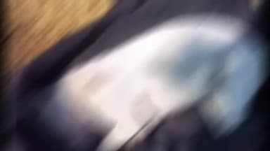 मुरादाबाद: नया मुरादाबाद सेक्टर ए में स्ट्रीट डॉग को चौथी मंजिल से फेंककर मारने के आरोप में चार लोगों पर मुकदमा दर्ज