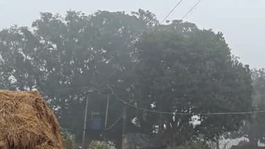 करछना: बेलाही गांव में हाई वोल्टेज बिजली का तार टूटकर गिरने से मची अफरा-तफरी, बिजली आपूर्ति हुई बाधित