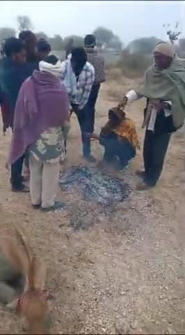 मेड़ता सिटी के ग्राम पांचडोलियां में अज्ञात ने नील गाय को गोली मारकर किया घायल,ग्रामीणों ने पशु चिकित्सालय में पहुंचाया