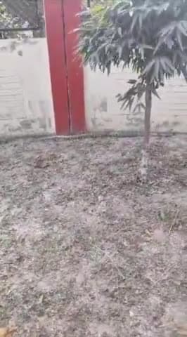 कानपुर: नवाबगंज क्षेत्र के सीएसए यूनिवर्सिटी चौकी के अंतर्गत कुलपति आवास के पास विशालकाय अजगर दिखने से मचा हड़कंप