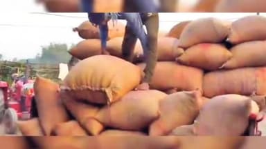 कटकमसांडी: कटकमसांडी प्रखंड में पैक्स और एफपीओ के माध्यम से धान खरीद लगभग एक महीने से बंद