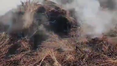 अररिया: संदलपुर गांव में पुराने ज़मीन विवाद के चलते भूसा घर में लगाई गई आग, पीड़ित ने थाने में दिया आवेदन