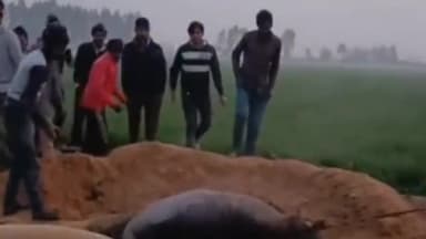 बिलग्राम: सरायउर्दा गांव में 35 फीट गहरे कुएं में गिरी जंगली नीलगाय, पुलिस और ग्रामीणों ने कई घंटे की मशक्कत से किया रेस्क्यू