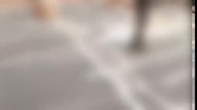 विष्णुगढ़: विष्णुगढ़-गोमिया पथ पर पलटी यात्री बस, तीन लोगों की हुई मौत व कई घायल