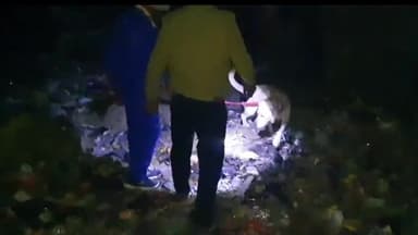 पटना ग्रामीण: बाइपास थाना क्षेत्र के बेगमपुर पार पोखरा में एक व्यक्ति का शव मिला, पुलिस जांच कर रही है