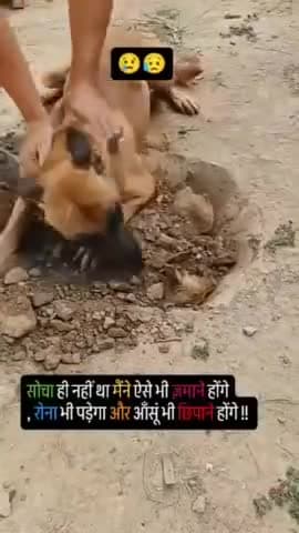 🥹 ek maa ki dard aur pyar video 
  you tube channel = APV masti tv