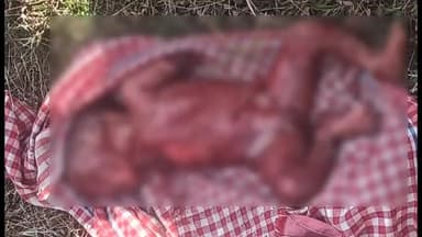 विष्णुगढ़: विष्णुगढ़ के अलपिटो में खेत में घायल अवस्था में मिली नवजात बच्ची, जान बचाने के प्रयास विफल रहे