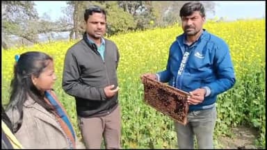 बक्सर: राजकीय बीज गुणन प्रक्षेत्र साहीपुर में अनुमंडल कृषि पदाधिकारी की मौजूदगी में मधुमक्खी पालन का दिखाया गया डेमो