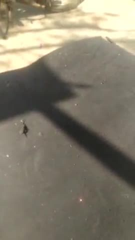 ताजपुरा आज मा गंगा की पूजन करने जाते हुए मौर्य परिवार ओर समस्त ग्रामवासी