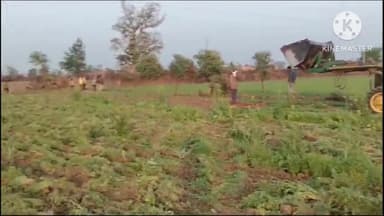 खुरई: सिलोधा में छोटे भाई ने बड़े भाई की जमीन पर ट्रैक्टर चलाकर 3 लाख की फसल को नुकसान पहुंचाया, स्टे के बाद भी कब्जा करने की साजिश