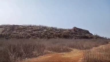 कटनी नगर: कटनी में एमएसडब्ल्यू कचरा प्लांट से बीमारी फैलने का डर, दुर्गंध से परेशान हैं रहवासी