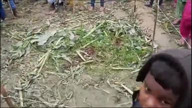 अररिया: दियारी गांव में मकई के खेत में मिला एक महिला का शव, मामले की जांच में जुटी पुलिस