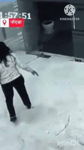 गौतम बुद्ध नगर: निराला स्टेट सोसाइटी में गुस्से में आकर महिला ने तोड़ा कांच का गेट, घटना सीसीटीवी कैमरे में कैद हुई