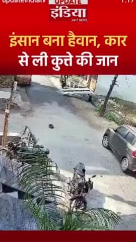 UP बुलंदशहर . इंसान बना हैवान कार से कुत्ते की ली जान