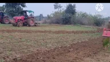 राहे: राहे थाना क्षेत्र में 5 एकड़ में लगी अवैध अफीम की फसल नष्ट