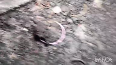 ਐਸਏਐਸ ਨਗਰ ਮੁਹਾਲੀ: ਖਰੜ ਦੇ ਪ੍ਰਾਈਮ ਸਿਟੀ ਸੋਸਾਇਟੀ ਦੇ ਵਿੱਚ ਅੱਜ ਇੱਕ ਘਰ ਨੂੰ ਅਚਾਨਕ ਅੱਗ ਲੱਗ ਗਈ ਘਰ ਦਾ ਸਾਰਾ ਸਮਾਨ ਸੜ ਕੇ ਹੋਇਆ ਸੁਆਹ