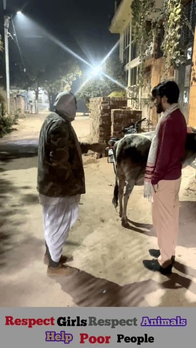 बच्चा बाहर नहीं आया है पूताड़ी फुट गई .? 🥺

Respect Girls help poor help animals 

#apsgurjar #cow #son #gwalior