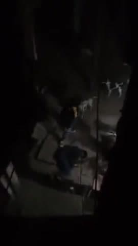 कानपुर: बाबूपुरवा में दबंगों ने बीच सड़क पर युवक को पीटकर किया मरणासन्न, वीडियो हुआ वायरल