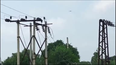 कोल: रामघाट रोड फीडर से संबंधित विद्युत आपूर्ति मंगलवार को 6 घंटे बाधित रहेगी, पत्र जारी कर दी गई जानकारी