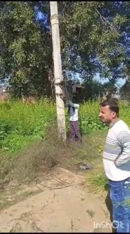 बाड़ी: बाड़ी में बिजली बिल न भरने पर काटे गए कनेक्शन, उतारे गए ट्रांसफॉर्मर