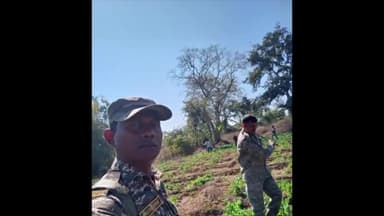 पांकी: पांकी पुलिस और वन विभाग की टीम ने 4A कड़ में लगी अवैध पोस्ते अफीम की खेती नष्ट की