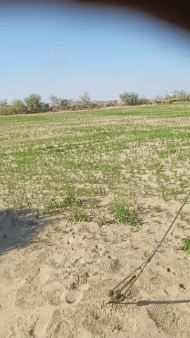 हमाराजिराअछाहैछढलहडछ़मडचढठछहफचरषममझ