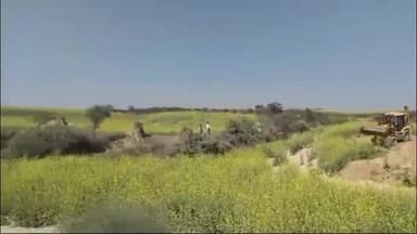 राजाखेड़ा: राजाखेड़ा के गांव पुरापतिराम में प्रशासन ने 285 बीघा चरागाह भूमि को अतिक्रमण से मुक्त कराया, दबंगों ने बो रखी थी सरसों