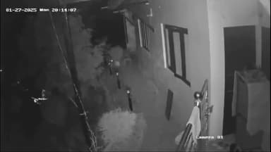 नैनीताल: तल्लीताल क्षेत्र में एक बार फिर से गुलदार ने आतंक मचाना शुरू किया, जिससे क्षेत्रवासियों में बनी दशहत