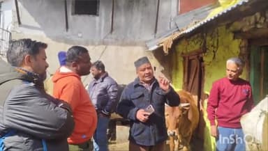 नैनीताल: शहर के मल्लीताल निवासी महिला ने गौशाला में बंधी 11 माह की बछिया से कुकृत्य करने का आरोप लगाया, लोगों ने काटा हंगामा