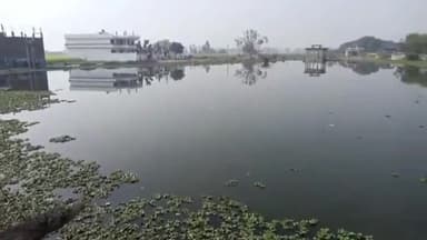 मंझनपुर: मंझनपुर के एक तालाब में डूबे युवक का रेस्क्यू जारी