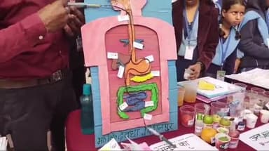 कस्बा: +2 उत्क्रमित उच्च विद्यालय बिशनपुर प्रखंड, कस्बा जिला पूर्णिया में आयोजित 'संकुल स्तरीय TLM 2.0' मेला का आयोजन