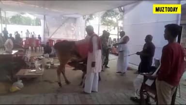 रुपौली इस्टेट के कौशलेंद्र प्रसाद नारायण शाही उर्फ कन्हैया बाबू के निधन उपरांत किया गाय का दान