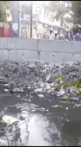 मेरठ: नौचंदी क्षेत्र में फिर मिले तीन गायों के कटे हुए सिर, स्थानीय लोगों ने किया हंगामा