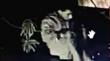 घाटमपुर: सजेती में ग्राहक सेवा केंद्र से हुई लाखों की चोरी, सीसीटीवी कैमरे में कैद हुआ चोर