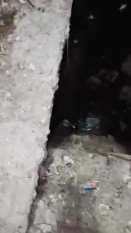 कानपुर: थाना नवाबगंज अंतर्गत आजाद पार्क के पास नाले में मिला युवक का शव