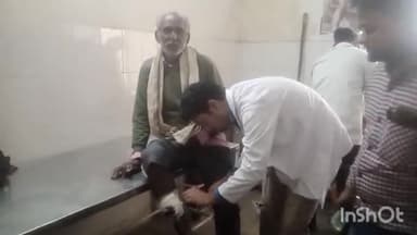 जलालाबाद: मिर्जापुर के पेट्रोल पंप के पास पैदल जा रहे व्यक्ति को बाइक ने मारी टक्कर, हुआ चोटिल