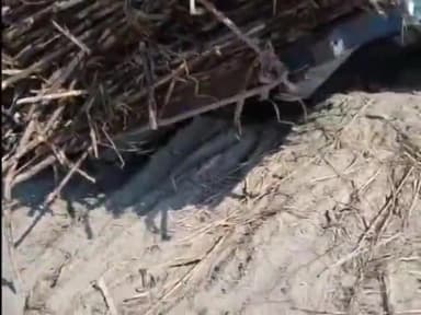 धनौरा: गजरौला के गांव दारा नगर में पेंटन पुल टूटने से किसान की ट्रैक्टर ट्राली पलटी, किसान ने कूदकर बचाई जान