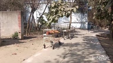 लखीसराय: शहर के नया बाजार वार्ड संख्या 17 में एक युवती की संदिग्ध परिस्थितियों में हुई मौत, कराया गया पोस्टमार्टम