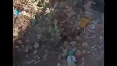 शिवपुरी नगर: फतेहपुर में ड्रग्स का इंजेक्शन लगाते युवकों का वीडियो हुआ वायरल