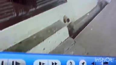 अंबाह: MLD कॉलोनी में गुड्डू सरपंच वाली गली के सूने मकान में चोरी, लैपटॉप समेत एक लाख का सामान गायब, CCTV फुटेज सामने आया