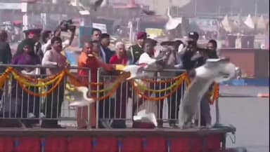 प्रयागराज: महाकुंभ क्षेत्र में पहुंची राष्ट्रपति द्रोपदी मुर्मू,मुख्यमंत्री योगी आदित्यनाथ के साथ साइबेरियन पक्षियों को खिलाया दाना