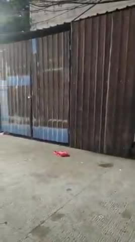 इन्दौर 

वार्ड 59 में हुआ अतिक्रमण 1/3 साउथ हरसिद्धि शालीमार स्प्रे के सामने आज यह अतिक्रमण शेड का निर्माण किया गया है।