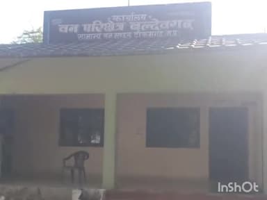 बल्देवगढ़: जटेरा गांव में पांच नील गायों की मौत, वन विभाग ने दो लोगों पर मामला दर्ज किया