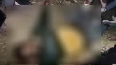 बिहिया: बिहिया थाना क्षेत्र के ध्वरी के पास सड़क हादसे में मोटरसाइकिल सवार की हुई मौत