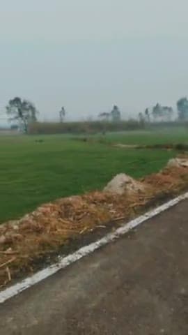 मात्र 15 लाख/बीघा में 14 बीघा खेती की जमीन बिक्री के लिए जानसठ मुज़फ्फरनगर में जल्दी संपर्क करे