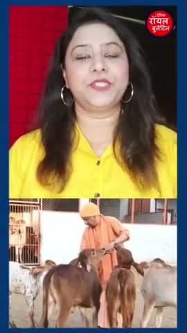 गोरखनाथ मंदिर में सीएम योगी ने की गौ सेवा, बच्चों को बांटी चॉकलेट
#YogiAdityanath #gorakhnathtemple #gauseva