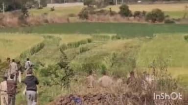 बहादुरपुर: करीला के कानीखेड़ी गांव में 25 बीघा जमीन से वन, राजस्व और पुलिस ने हटाया अतिक्रमण